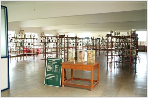 Sri Siddhartha Academy of Higher Education Tumkur Laboratory photo 6